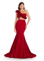 Paloma Two Piece Gown - Image 9