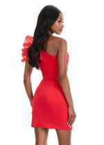 Kiraz Mini Dress - Image 2