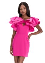 Yesenia Mini Dress - Image 3