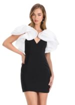 Yesenia Mini Dress