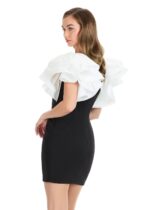 Yesenia Mini Dress - Image 2