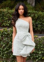 Elaria Mini Dress - Image 4