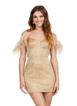 Soraya Mini Dress - Image 22