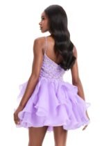 Ariessa Mini Dress - Image 2