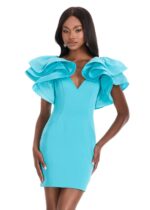 Yesenia Mini Dress - Image 7