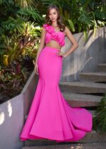 Paloma Two Piece Gown - Image 4