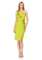 Anisa Midi Dress - Image 5