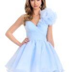 Olivra Mini Dress
